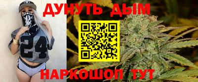 мдпв Новозыбков