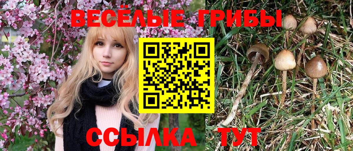Саяногорск  Псилоцибиновые грибы мухоморы  Вход с VPN 